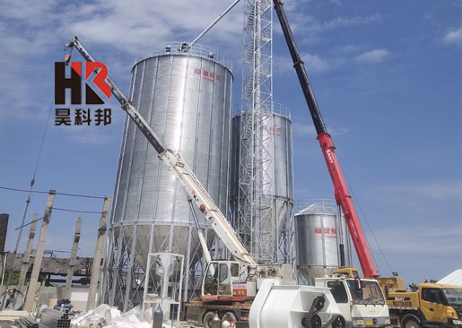 湖南牧业公司10吨每小时蛋鸡饲料生产线项目