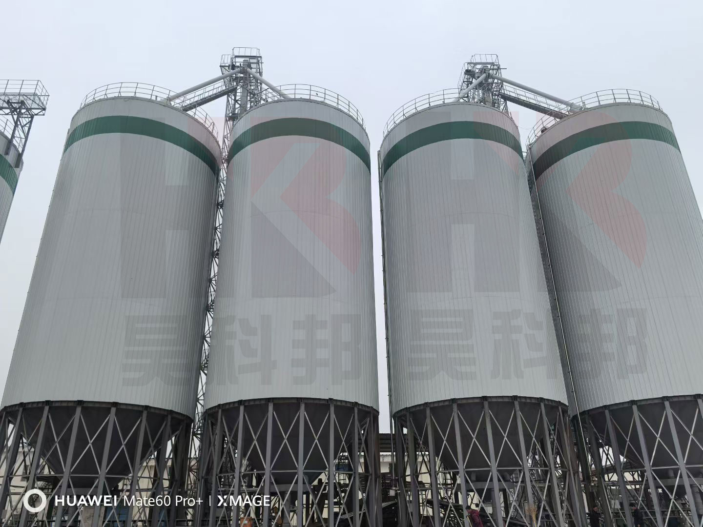 种业公司4个1000吨标准粮食钢板仓